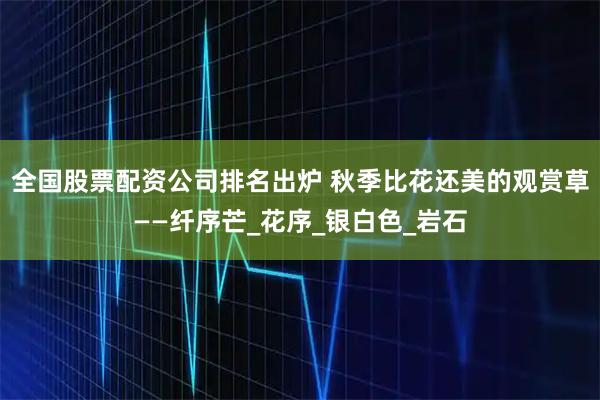 全国股票配资公司排名出炉 秋季比花还美的观赏草——纤序芒_花序_银白色_岩石