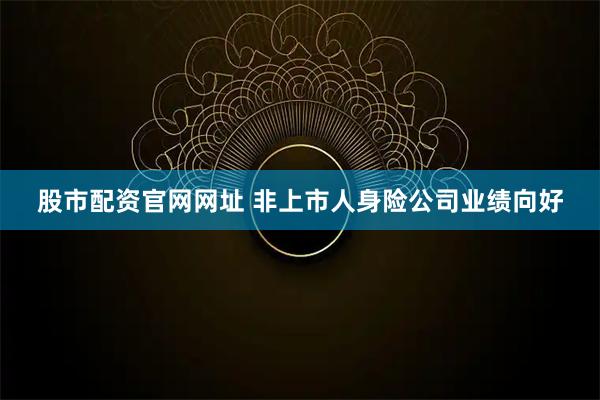 股市配资官网网址 非上市人身险公司业绩向好